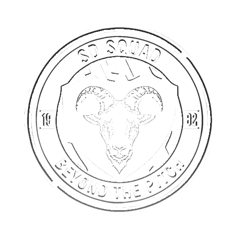 Sports Direct Sd Squad Sticker by SD Football