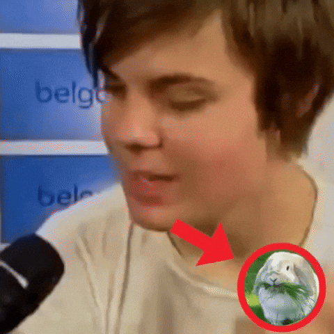 Panic At The Disco Joetrick GIF