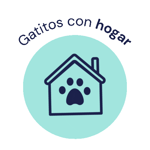 gatitosenaccion Sticker
