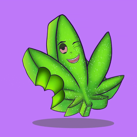 Weed Marijuana GIF by mavi