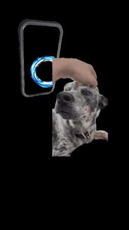 Petting Dog GIF