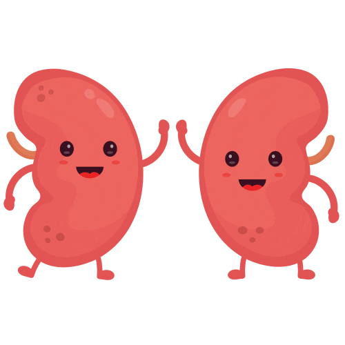 kidney transplant cartoon