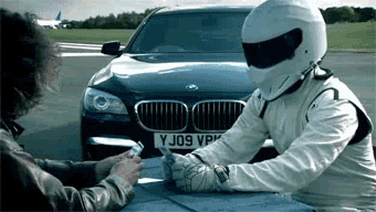 the stig