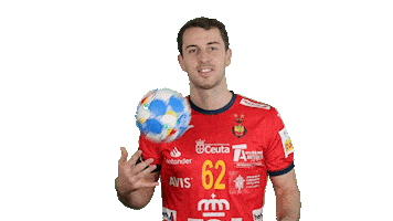 Real Federación Española de Balonmano Sticker