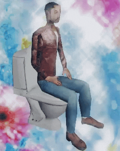 Toilet GIF
