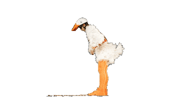 Sommer Goodbye Sticker by tjgdresden