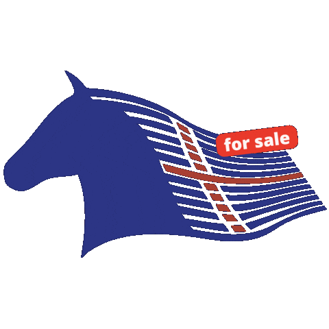 Islandpferd Sticker by Saga Reitschulen