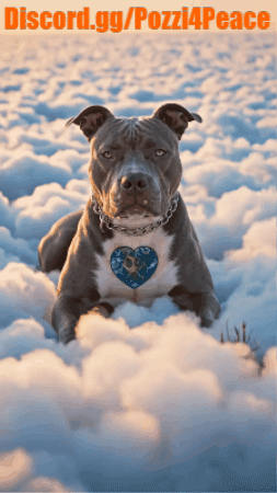 Pozzi4Peace GIF