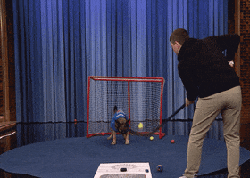 Tonight Show Sport GIF by The Tonight Show Starring Jimmy Fallon