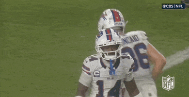 Flapping National Football League GIF by NFL