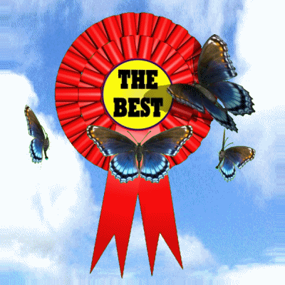 The Best Winner GIF