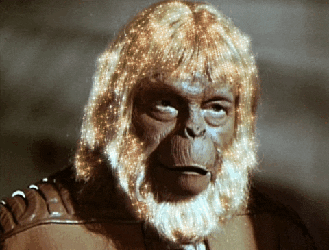 conquest of the planet of the apes 1972