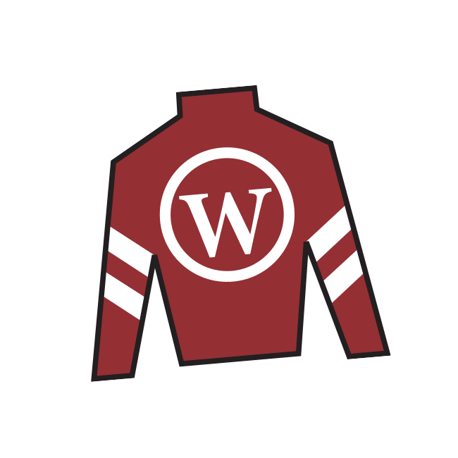 Horse Racing Sticker by Kentucky Derby