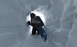 Everest GIF