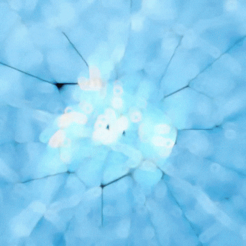 Shake B GIF