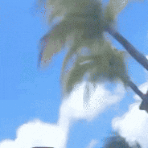 Martin GIF