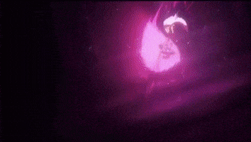 One Punch Man Anime Fight GIF