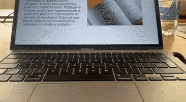 Six Socks Studio GIF