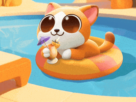 Pool Party Summer GIF by Bloom City Match