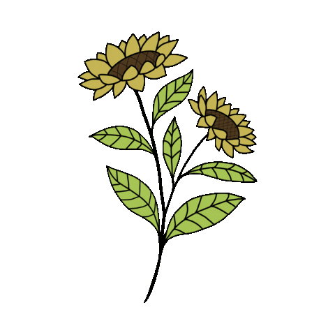 Summer Sticker