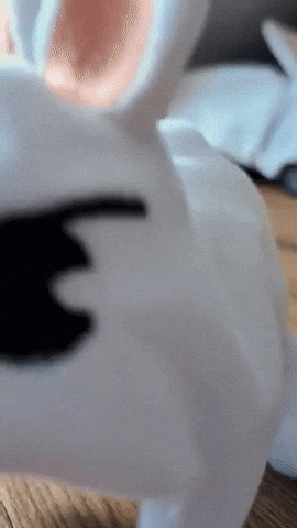 Easter Stray Kids GIF