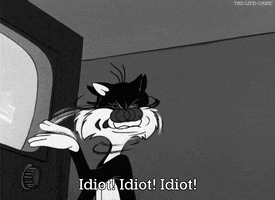 slap stupid idiot looney toons sylvester GIF