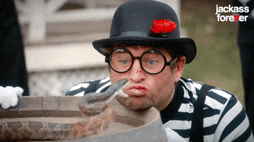 Johnny Knoxville Snake GIF by Jackass Forever