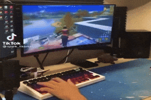 Gamer rage