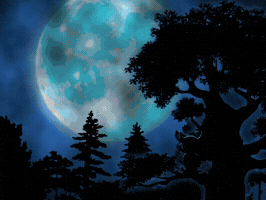 Trick Or Treat Halloween GIF by FLOKI