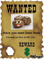 deez nuts picture GIF