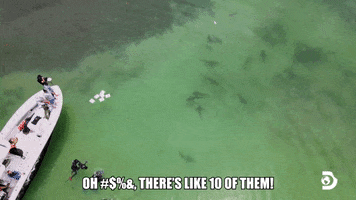 Scared Uh Oh GIF by Shark Week