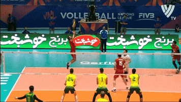 Lets Go King GIF by Volleyball World