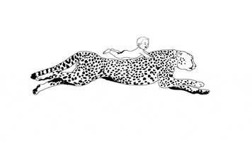 Baby Cheetah GIF