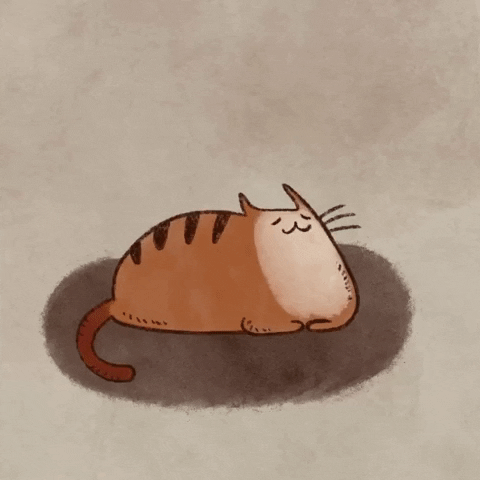 Fat Cat GIF by thistlebalm