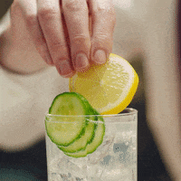 Refreshing Gin Tonic GIF by HENDRICK'S GIN