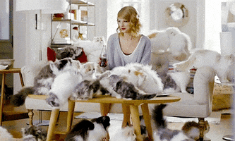 cat lady cats GIF