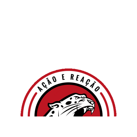 Instrutor Franck Sticker