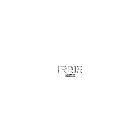 Paris Love Sticker by IRBIS