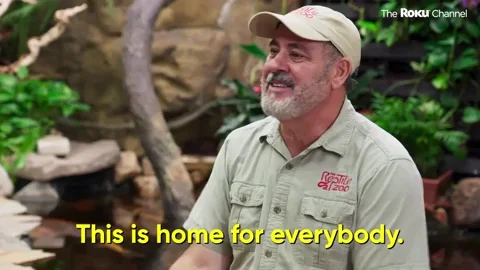 Friends Home GIF by The Roku Channel