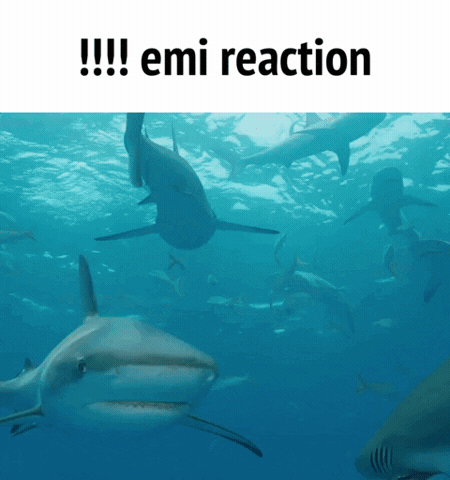 Shark Vel GIF