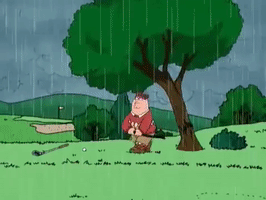 highryan  GIF