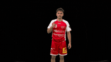 Handball GIF by Stralsunder HV