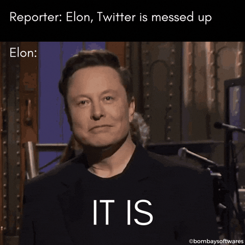 Happy Elon Musk GIF by Bombay Softwares