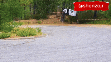 Sti GIF