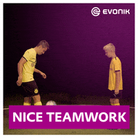 Football Soccer GIF by Evonik