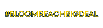 Big Deal Marketing Sticker by Bloomreach