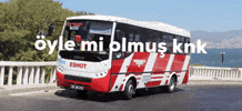 Hadi Ya GIF