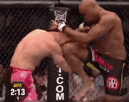 Silva GIF
