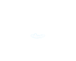 Black Bruin Sticker