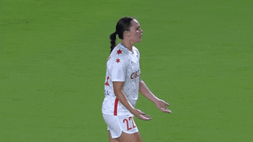 Chicago Red Stars What GIF by National Women's Soccer League